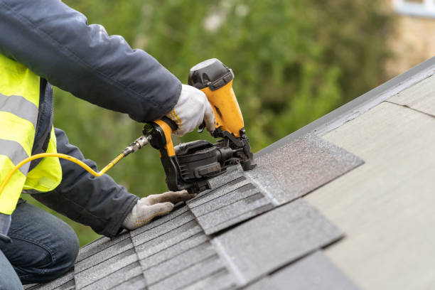 Best Roof Insulation Installation  in Ravenna, MI