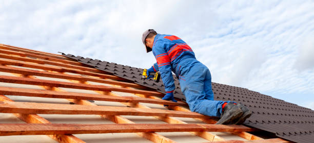 Best Roof Inspection  in Ravenna, MI